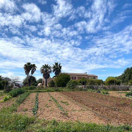 Finca Hotel Ses Cases Noves Sant Llorenc Des Cardassar Dış mekan fotoğraf