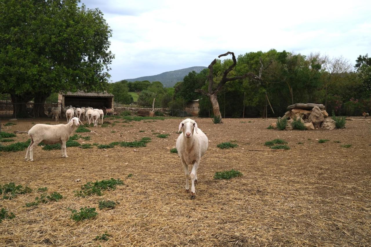 Finca Hotel Ses Cases Noves Sant Llorenc Des Cardassar Dış mekan fotoğraf