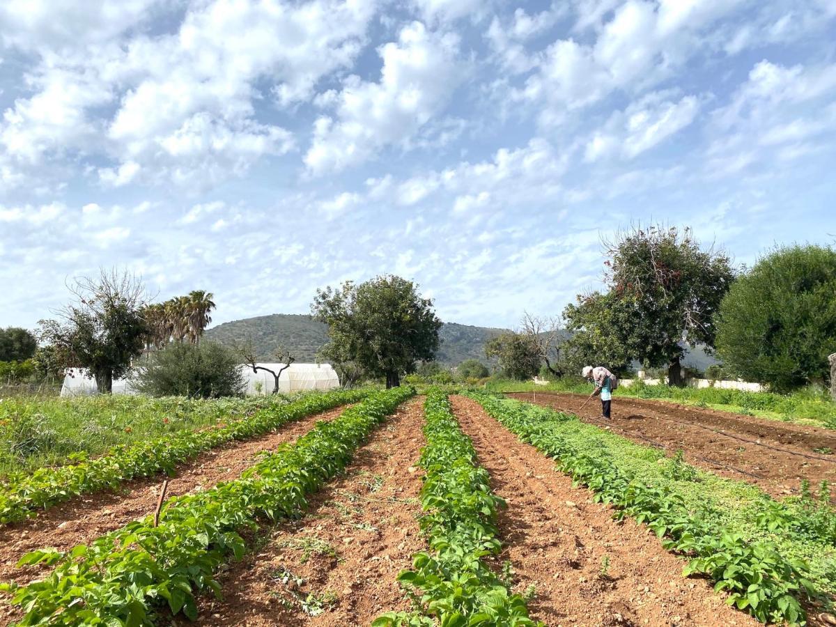 Finca Hotel Ses Cases Noves Sant Llorenc Des Cardassar Dış mekan fotoğraf