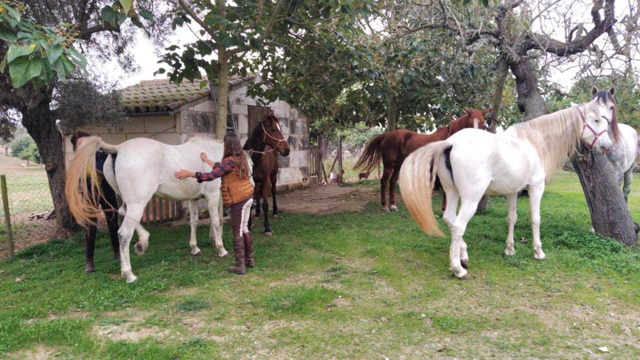 Finca Hotel Ses Cases Noves Sant Llorenc Des Cardassar Dış mekan fotoğraf