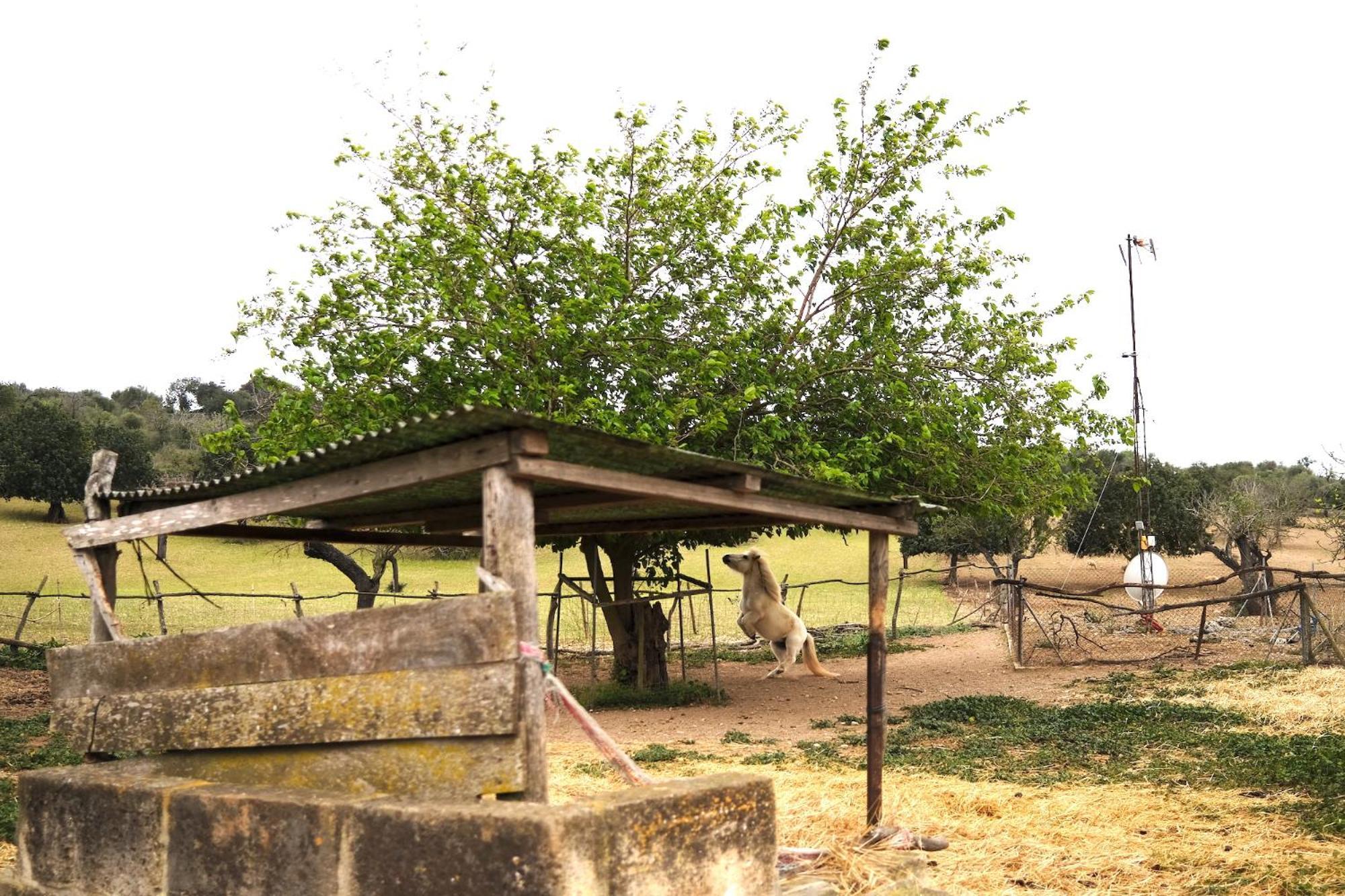 Finca Hotel Ses Cases Noves Sant Llorenc Des Cardassar Dış mekan fotoğraf