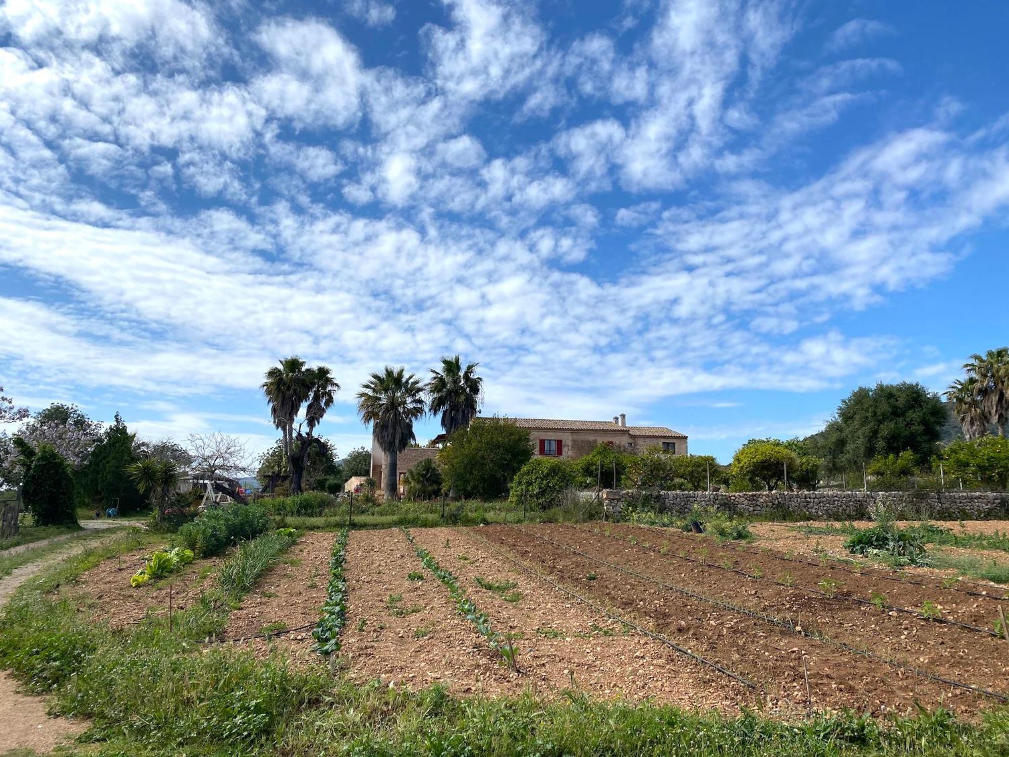 Finca Hotel Ses Cases Noves Sant Llorenc Des Cardassar Dış mekan fotoğraf