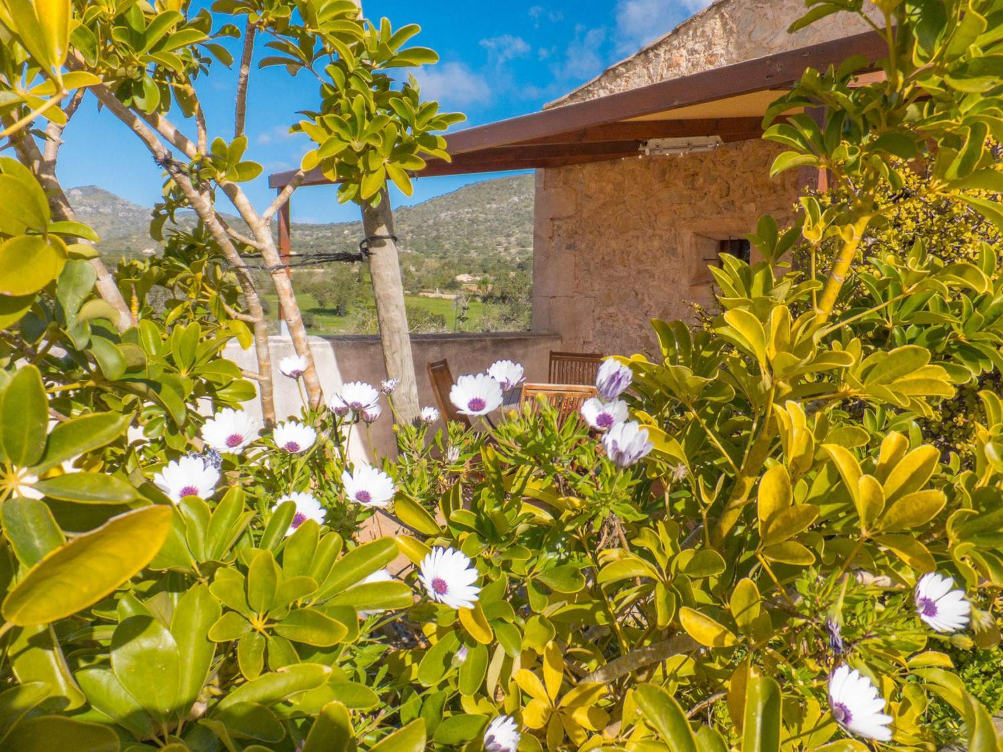 Finca Hotel Ses Cases Noves Sant Llorenc Des Cardassar Oda fotoğraf